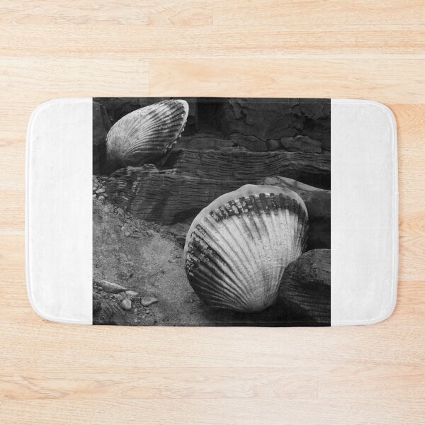 Item preview, Shells Sculpture. Vladivostok Oceanarium designed and sold by Igor Pozdnyakov.