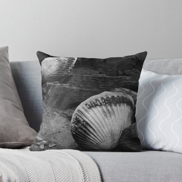Item preview, Shells Sculpture. Vladivostok Oceanarium designed and sold by Igor Pozdnyakov.