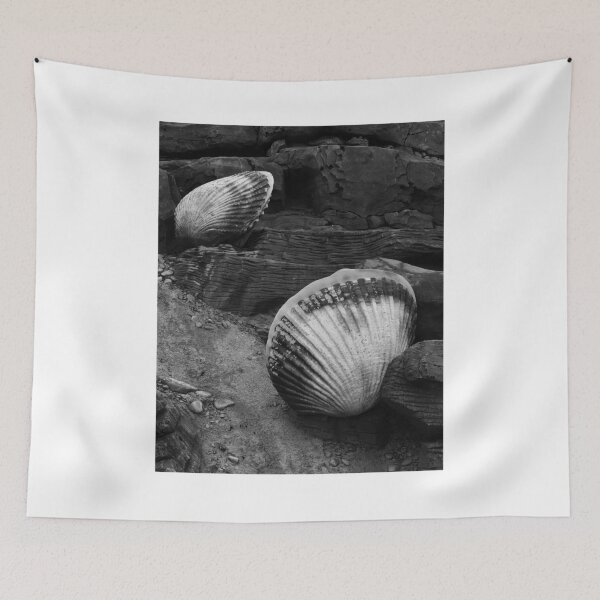 Item preview, Shells Sculpture. Vladivostok Oceanarium designed and sold by Igor Pozdnyakov.