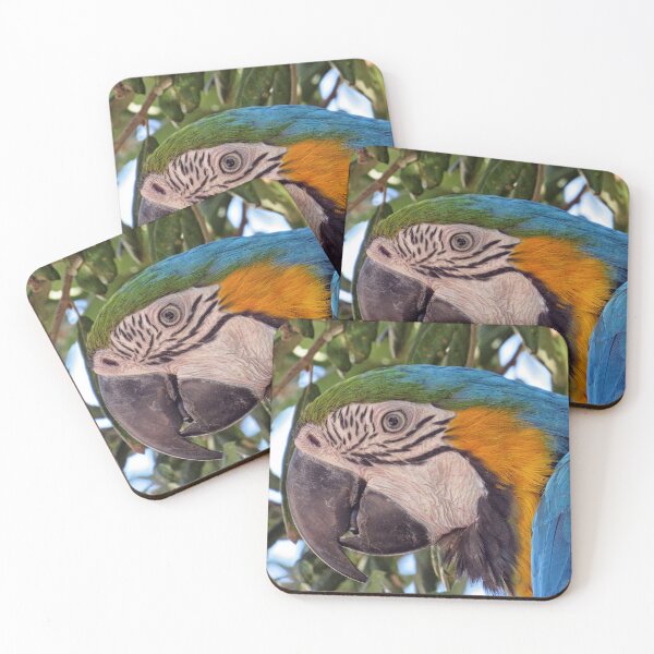 Item preview, Blue and Yellow Macaw designed and sold by Philip Butler.