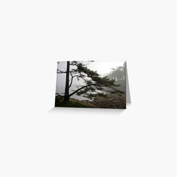 sweeping Greeting Card
