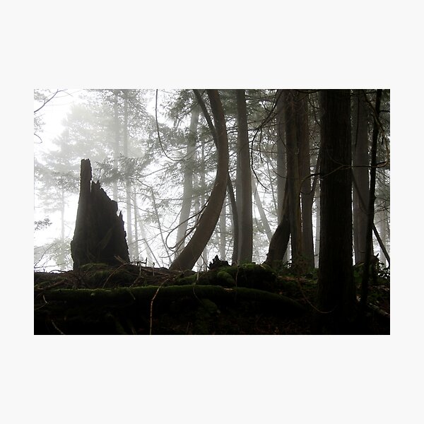 resting Photographic Print