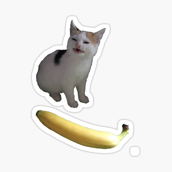 Angry cat no banana meme calico kitty hate yellow fruit - Angry