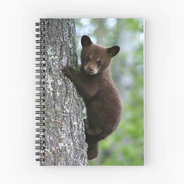 Item preview, Brown Bear Cub designed and sold by Strawflower Oasis.