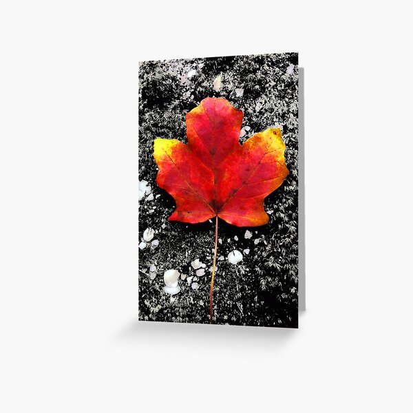 Item preview, Fallen Leaf - Blank Greeting Card designed and sold by Marcia Rubin.