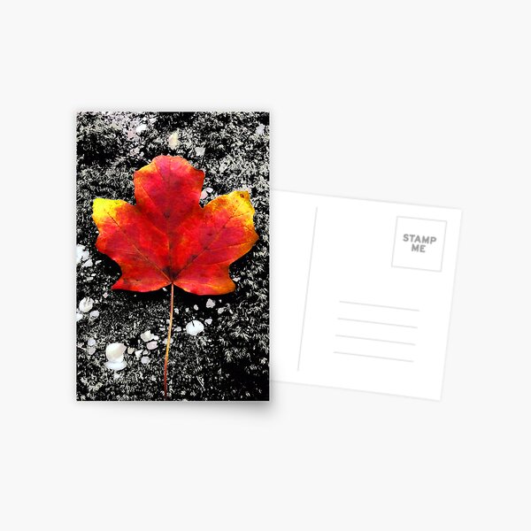 Item preview, Fallen Leaf - Blank Greeting Card designed and sold by Marcia Rubin.