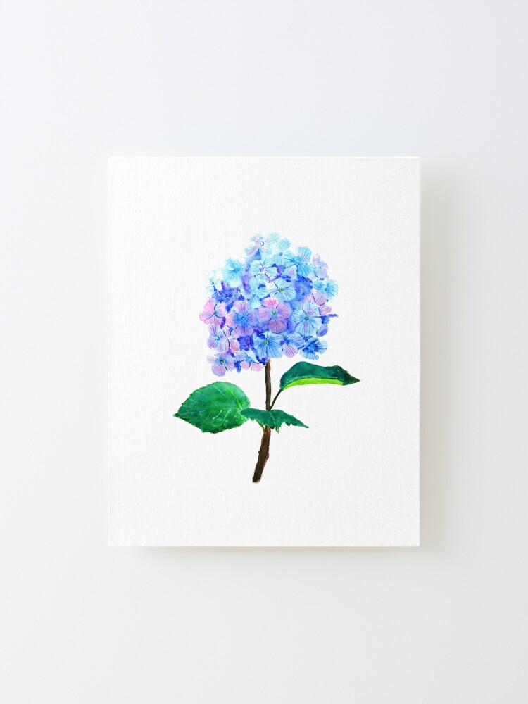 Alternate view of blue purple hydrangea flower Mounted Print
