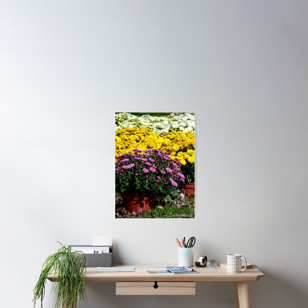 Item preview, Poster designed and sold by OutdoorAddix.