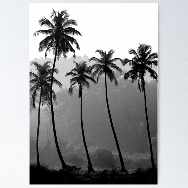 Item preview, Foggy tropical palm trees designed and sold by Digital  Cloud.