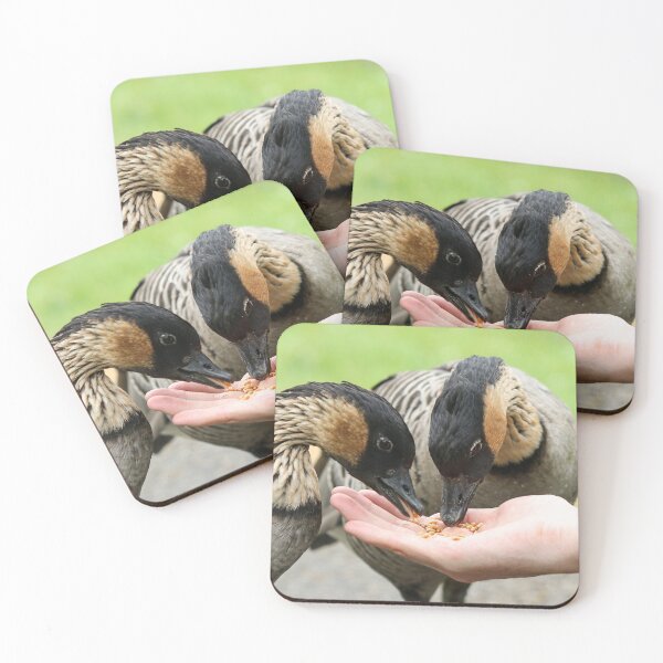 Item preview, Hand feeding hawaiian geese designed and sold by GreyFeatherPhot.