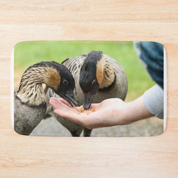 Item preview, Hand feeding hawaiian geese designed and sold by GreyFeatherPhot.