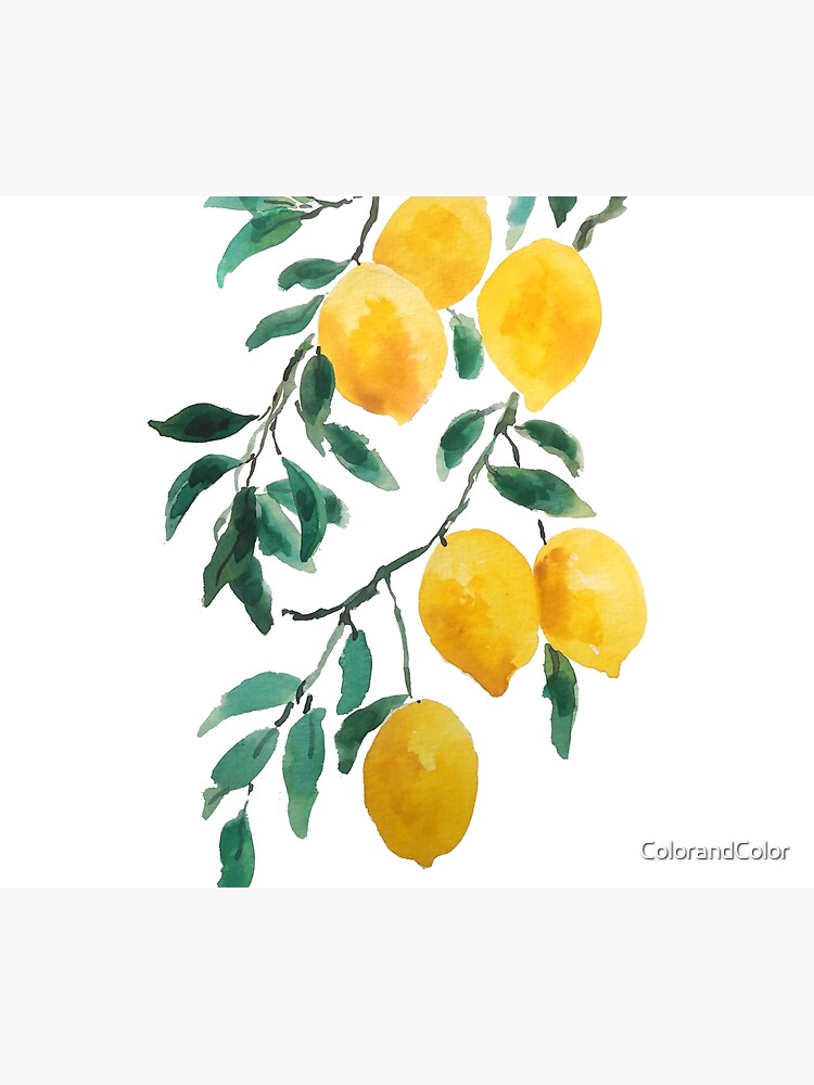 yellow lemon watercolor by ColorandColor