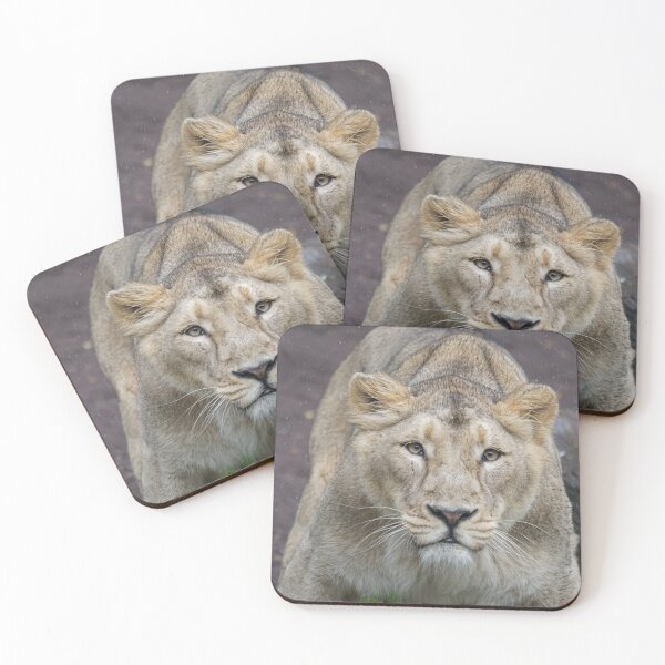 Item preview, Lion 009 designed and sold by JAMFoto.
