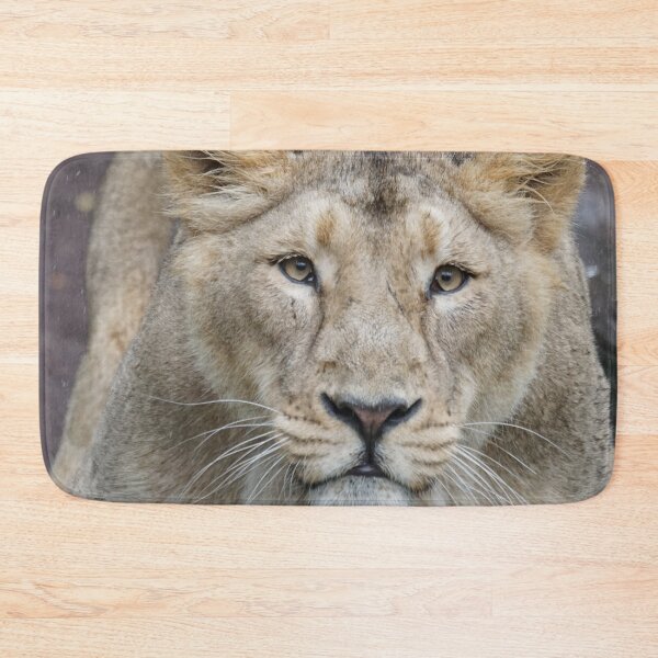 Item preview, Lion 009 designed and sold by JAMFoto.