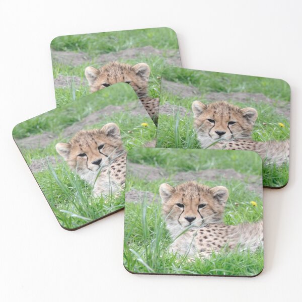 Item preview, Cheetah 011 designed and sold by JAMFoto.