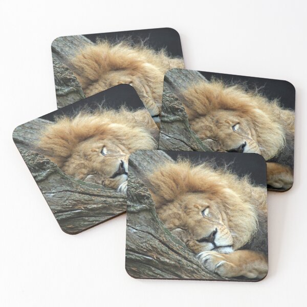 Item preview, Lion 036 designed and sold by JAMFoto.