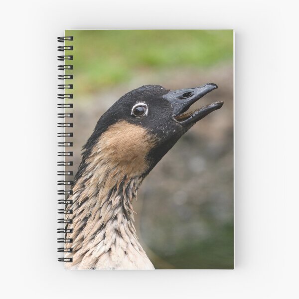 Item preview, Honking 'nene' designed and sold by GreyFeatherPhot.