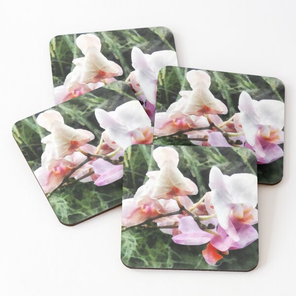 Item preview, Pale Pink Phalaenopsis Orchids designed and sold by Susan Savad.
