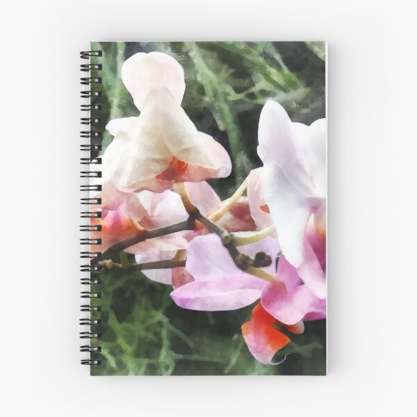 Item preview, Pale Pink Phalaenopsis Orchids designed and sold by Susan Savad.