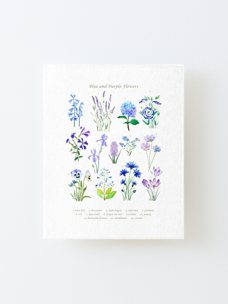 Impression Montee Aquarelle De Collection De Fleurs Bleues Et Violettes Par Colorandcolor Redbubble