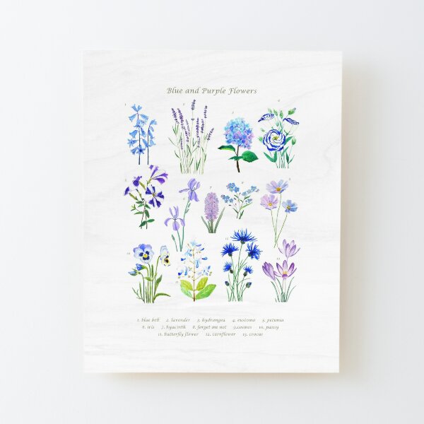 blue and purple  flower collection watercolor  Wood Mounted Print