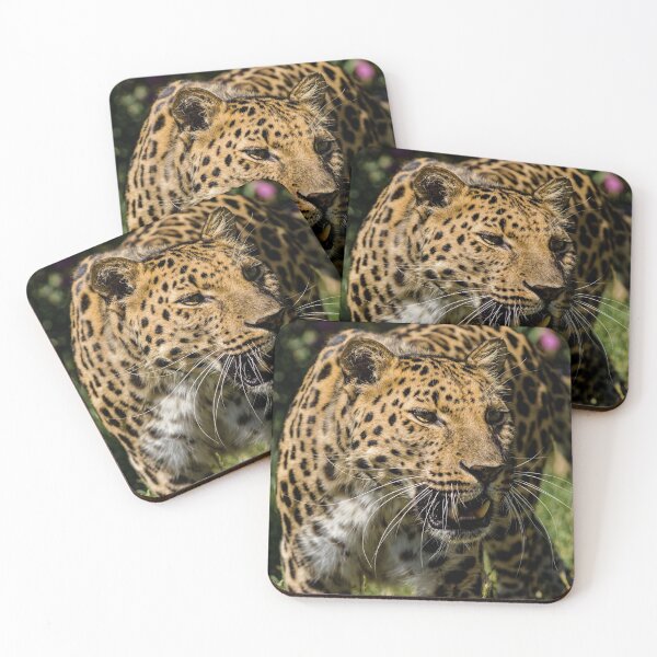 Item preview, Amur Leopard v3 designed and sold by JMChown.