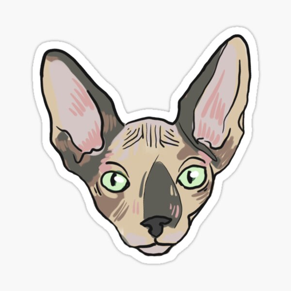 sphynx Sticker