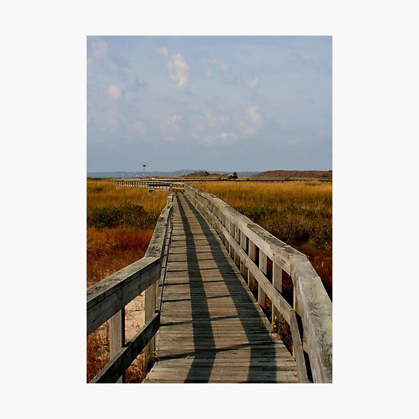 Item preview, Walkway through Fields of Serenity... designed and sold by laurie13.