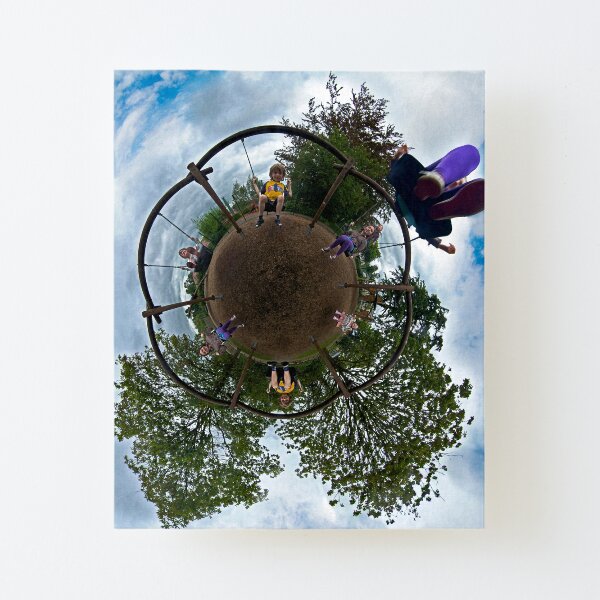Siblings on a 6 Seater Swing Canvas Mounted Print