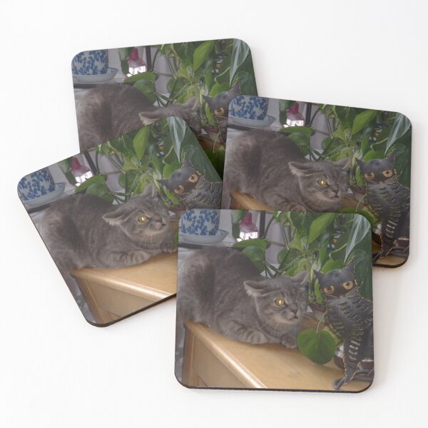 Item preview, Scaredy Cat designed and sold by Bronx Blonde.