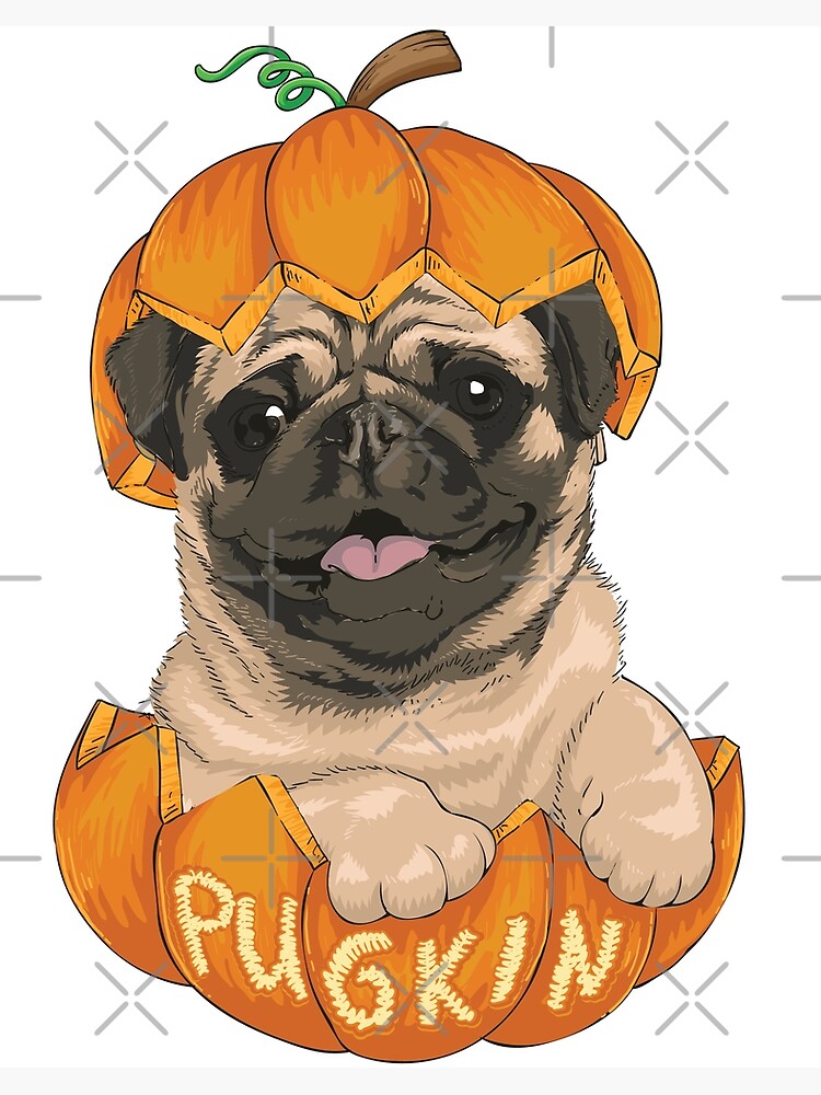 pug halloween pumpkin