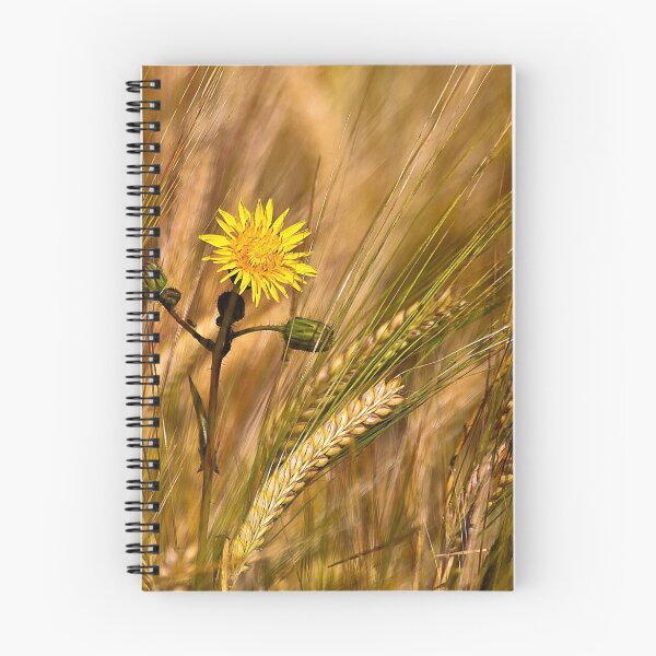 Item preview, Dandelion and Barley designed and sold by Violaman.