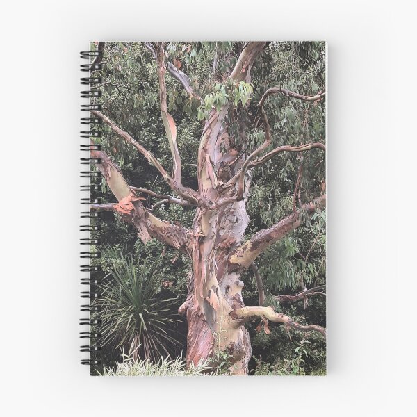 Item preview, Countryside, Lakes & Forest C103d3 designed and sold by Hyperion Photoart.