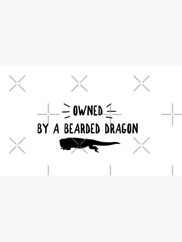 Owned By A Bearded Dragon by snibbo71