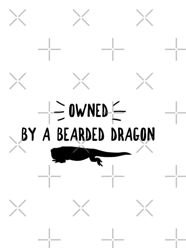 Owned By A Bearded Dragon by snibbo71
