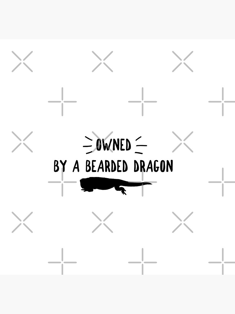 Owned By A Bearded Dragon by snibbo71