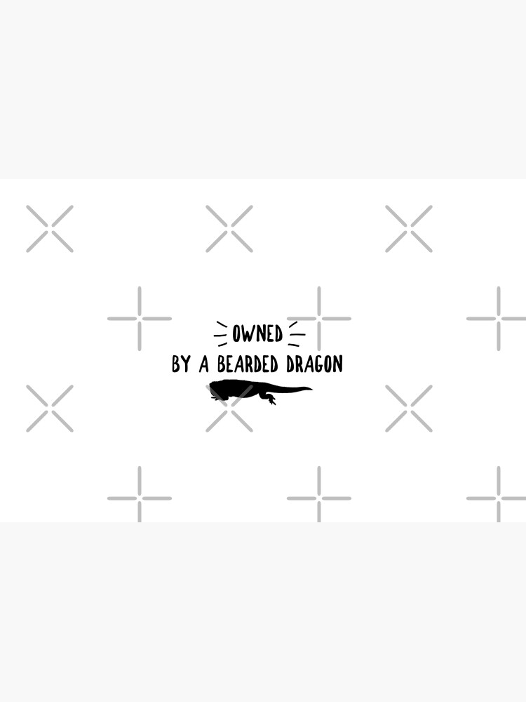 Owned By A Bearded Dragon by snibbo71