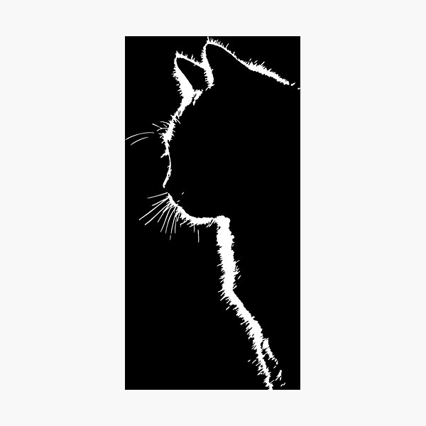 Cat silhouette Photographic Print