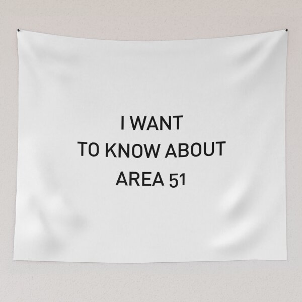 Item preview, I Want to Know About Area 51 designed and sold by Novel Gifts.