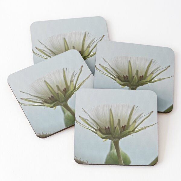 Item preview, Uniformidad NS © designed and sold by OmarHernandez.