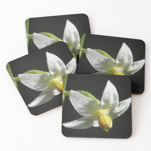 Item preview, NS Mini White Bloom II© designed and sold by OmarHernandez.