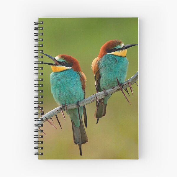 Item preview, European Bee Eater designed and sold by Strawflower Oasis.
