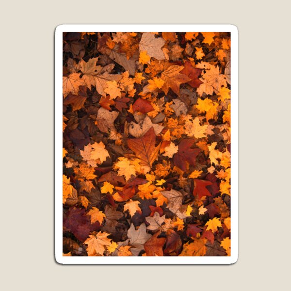 Item preview, Autumn Leaves designed and sold by Novel Gifts.