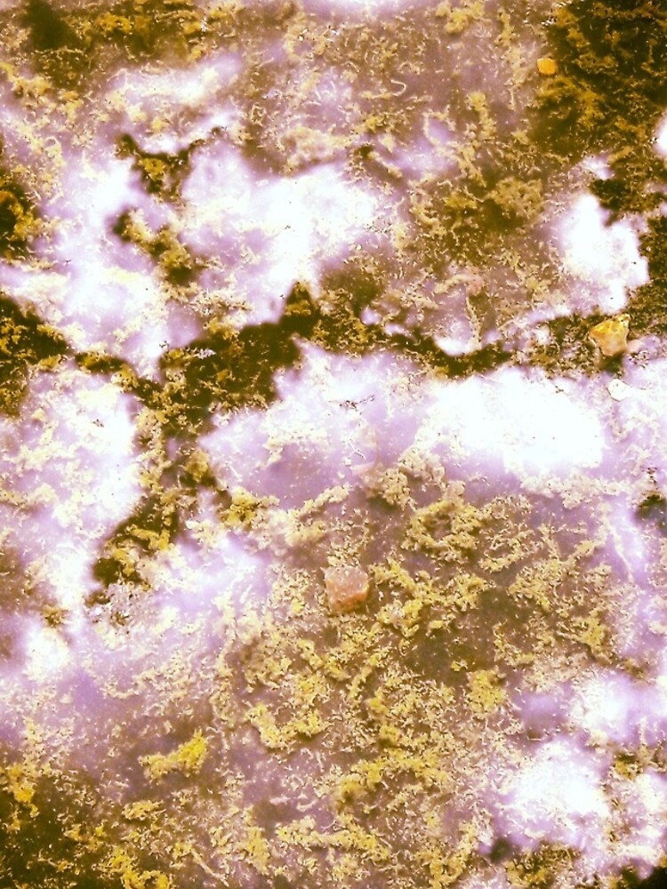 Thumbnail 4 of 4, iPhone Case, Random Captures R155c2 designed and sold by HyperionPhotoA.