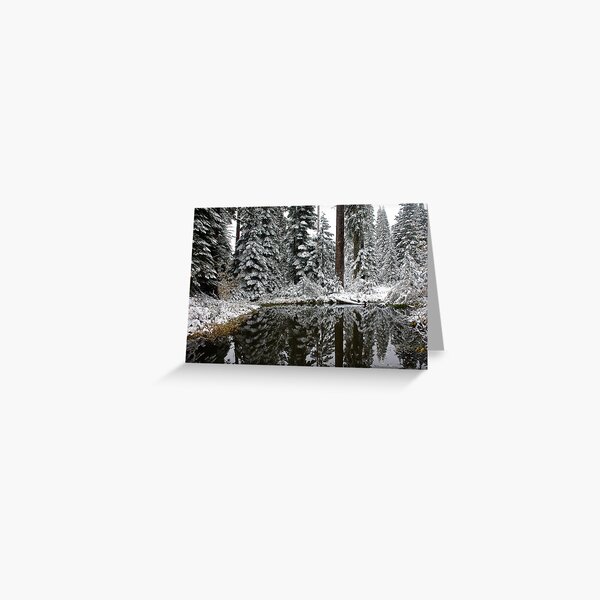 Silence Of Winter Greeting Card