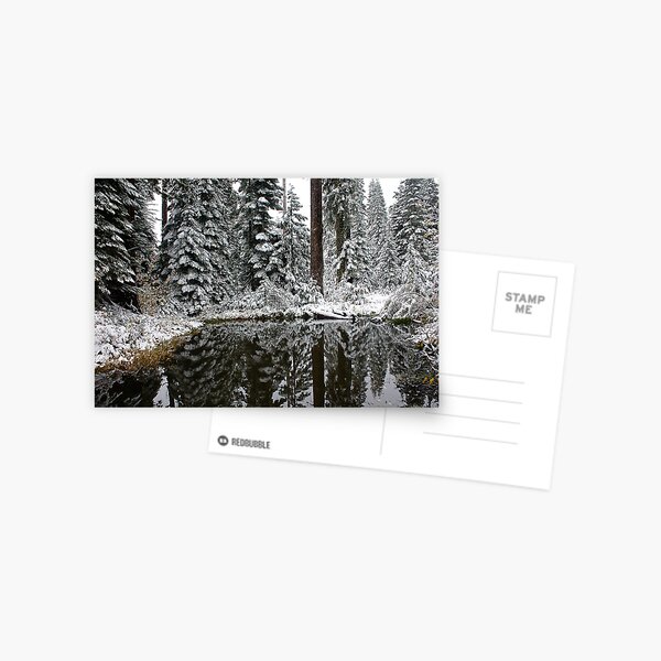 Silence Of Winter Postcard