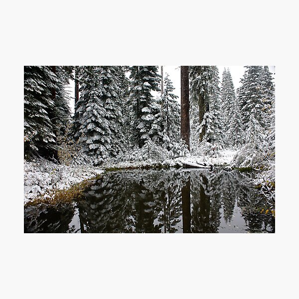 Silence Of Winter Photographic Print