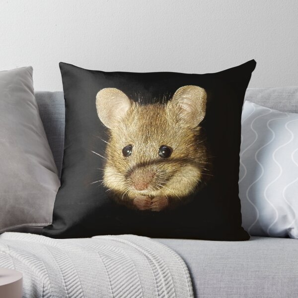 https://ih1.redbubble.net/image.885715650.5194/throwpillow,medium,600x-bg,f8f8f8-c,0,120,600,600.u1.jpg