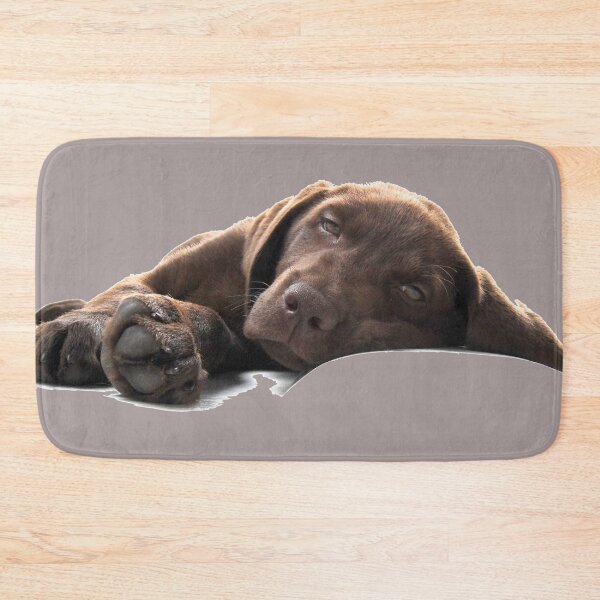 Item preview, Chocolate Labrador Puppy Lying Down designed and sold by CoolYule.