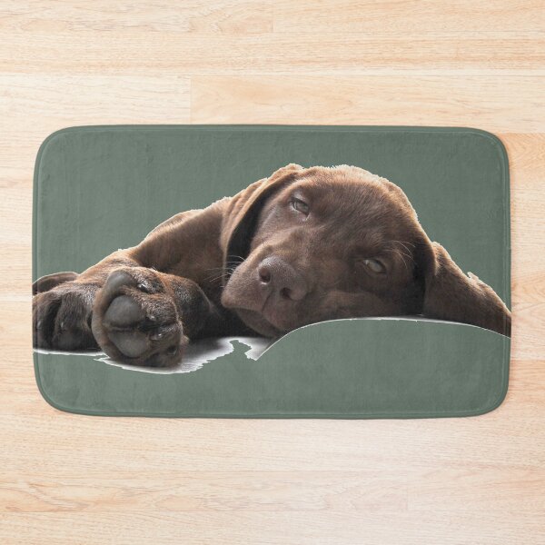 Item preview, Chocolate Labrador Puppy Lying Down designed and sold by CoolYule.